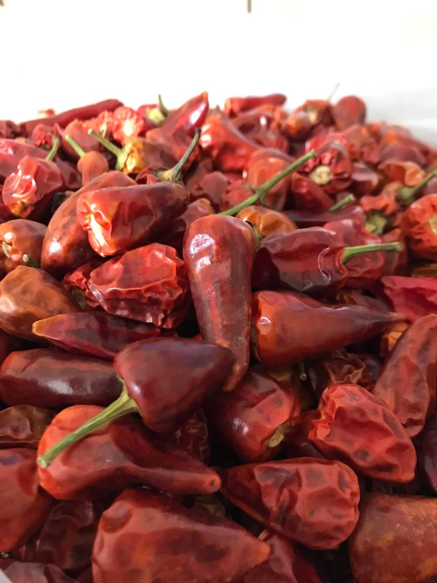 xbalikesir's tweet photo. Acının Kurutulmuş Hali
🌶BIberiye Kurusu🌶
✅Doğal Şehir #Sındırgı'daki #Balkuru tesislerinde çiftçimizin mevsiminde özenle hasat ettiği meyve ve sebzelerin yılın 12 ayı tüketilebilebilmesini sağlamak amacıyla #jeotermal enerji kullanarak kurutuluyor.
#balıkesir https://t.co/YieYPJap1N