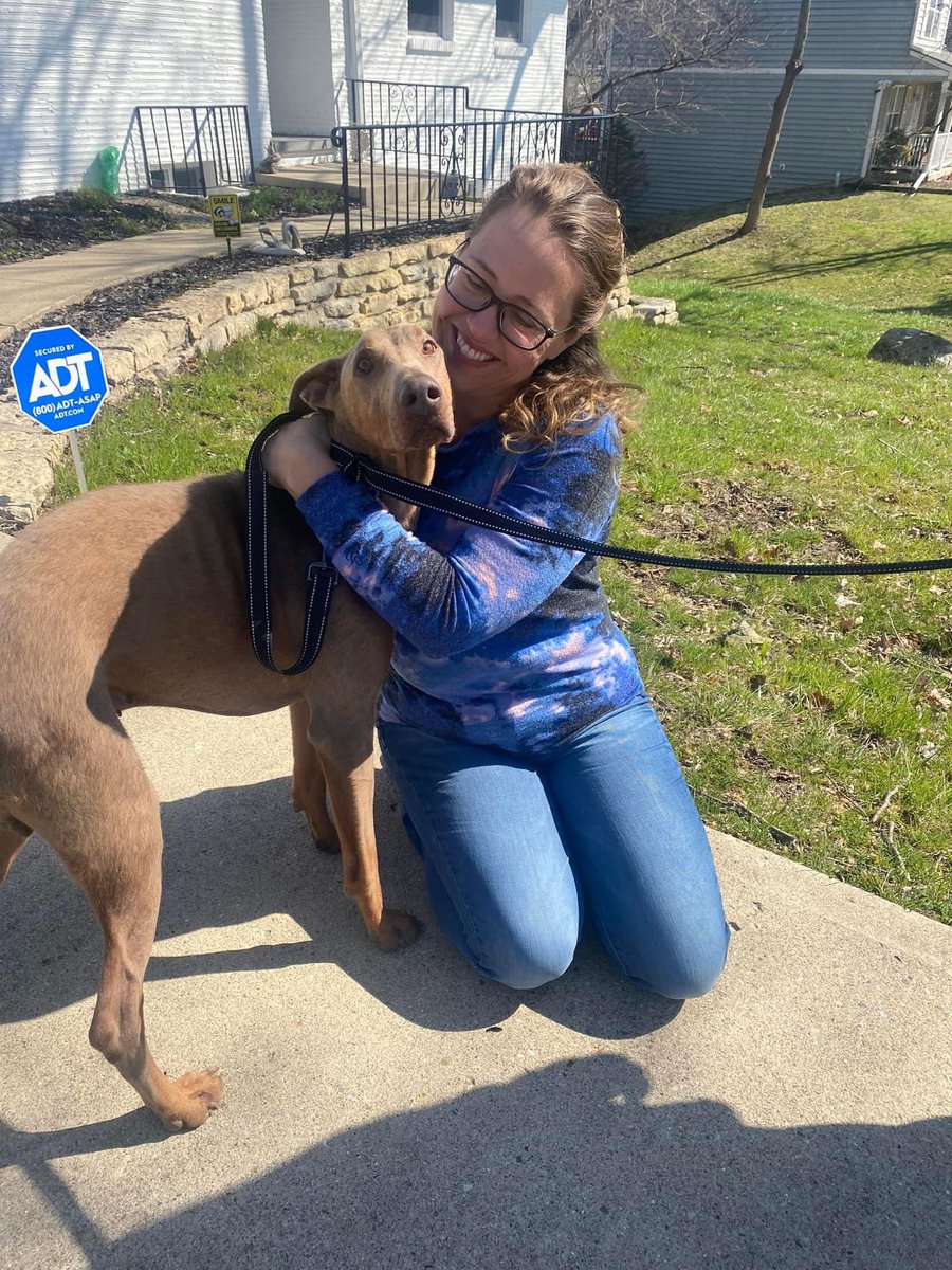 🧡 ADOPTION ALERT 🧡
We have another amazing love story today! Lyle has come a very long way. Thanks to Animal House Rescue for stepping in and helping us with Lyle when he needed it the most. He has now joined his perfect forever home and it was love at first sight 😊 #RescueDog