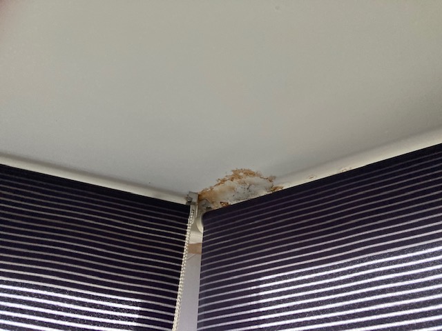 dennisrobdal's tweet photo. These are the conditions @amcomanagement  have let tenants live in. Some reported up to 6 years ago, no heating for 3 months in winter and still felt it justifiable to increase rent by £120pcm @Zoopla @rightmove @NRLAssociation @SalfordCouncil @AndyBurnhamGM @salford_mayor https://t.co/N4JcRUWOJE