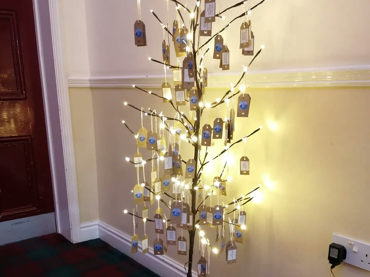 evelyn_b_effect's tweet photo. Our kindness tree got a lot of attention last night, isn't it beautiful?! โค๏ธ๐ฆ
#evelynsbutterflyeffect #RandomActsOfKindness #kindnesstree https://t.co/fi2T1VjiYL