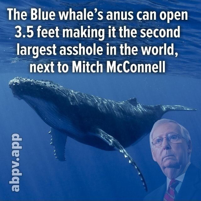 <a href="/mmpadellan/">BrooklynDad_Defiant!☮️</a>