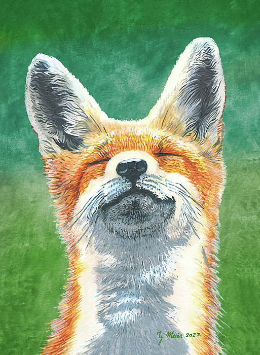 New artwork for sale! - "Happy Fox" - fineartamerica.com/featured/happy… <a href="/fineartamerica/">Fine Art America</a>