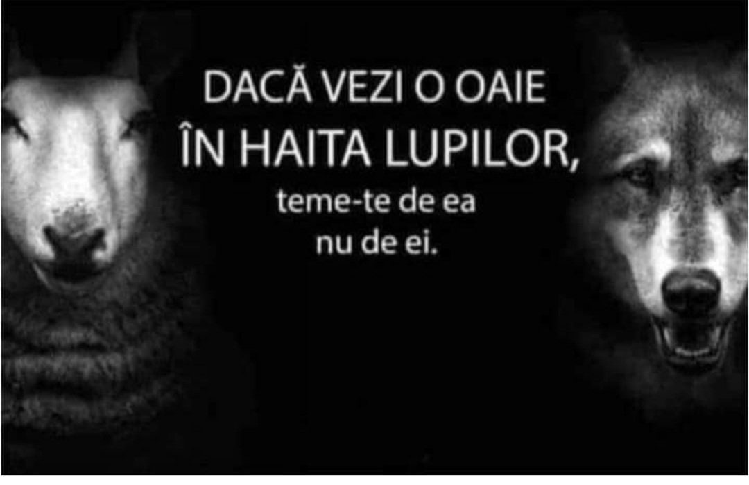 Dănuț (@cegoleadaniel) on Twitter photo 