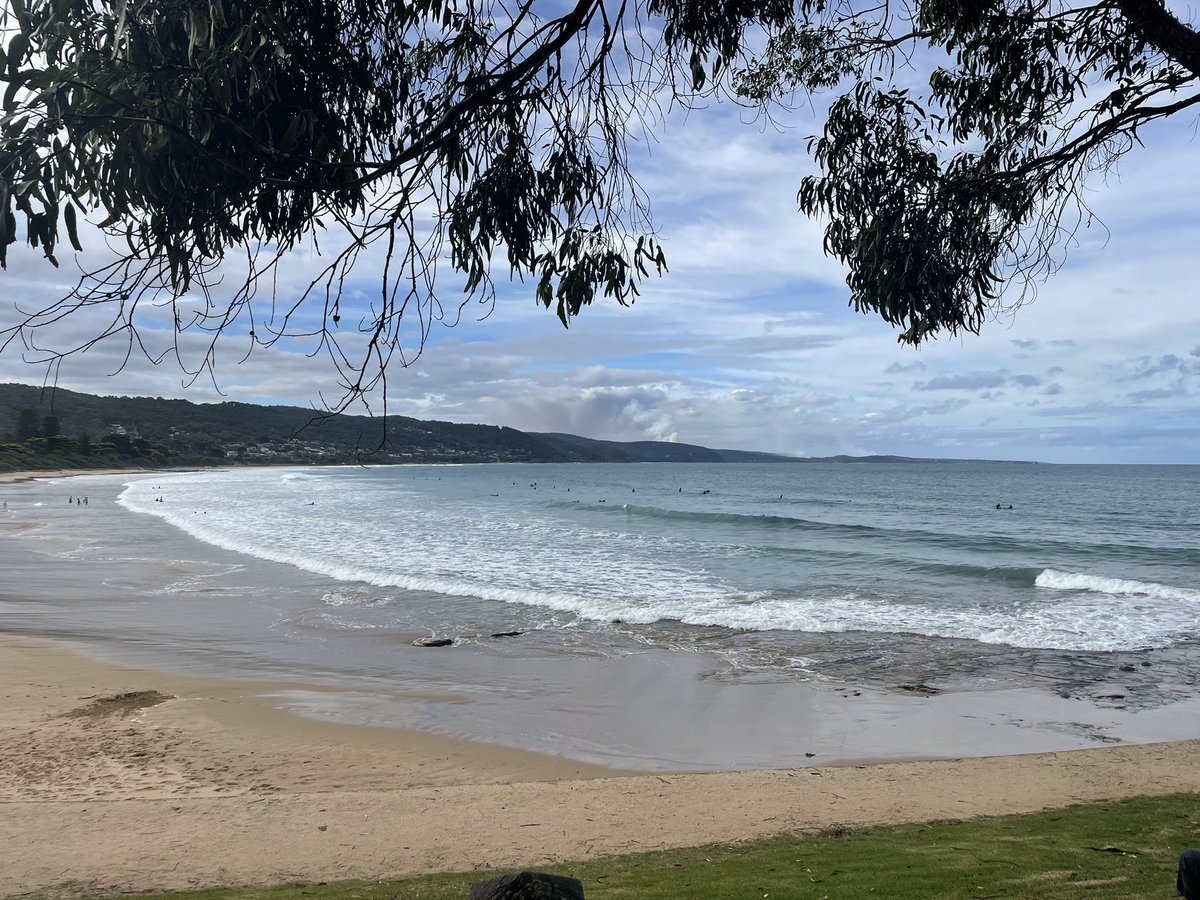 A/Prof Jessica Orchard tweet media