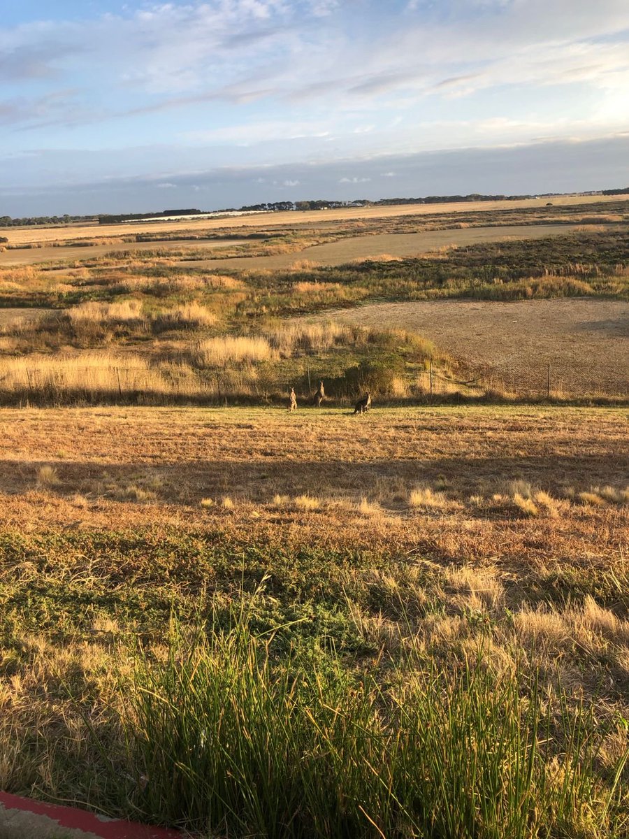 nicholes_law's tweet photo. .@nicholes_law was delighted to attend the @Rivers_Gift charity golf day in Torquay on Friday in support of the life-saving work the organisation does in relation to Sudden Infant Death Syndrome #SIDS #StampOutSIDS #RiversGift #familylaw #auslaw https://t.co/DzlwysbPjr