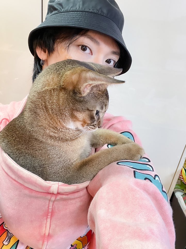 puzzlesite's tweet photo. ⠀⠀こ　 : ⠀⠀ 𝐏𝐙𝐋⠀⠀ ◪⠀⠀ #𝕍⠀⠀ _✶゛⠀  𝗻𝗲𝘄 ⠀⠀ ᓚ ⠀⠀ ⌯ ⠀⠀ pōst ⠀⠀' ⠀ #𝚊t𝕥enti𝗼𝗻ʼ𝑠𔓘𝑑𝑒bu𝘁 ₊ #𝟸𝟼𝟶𝟹ᥣe𝕘en𝚍𝚜·𓈒c𐀶d𝚎

Robin y Ahn el gato decidieron quedarse en casita reproduciendo hasta el cansancio ‘ATTENTION’ que es tremendo hit (!!!). https://t.co/VCv0v7dwag