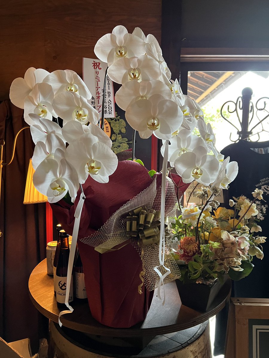 funmakeietsune's tweet photo. お祝いありがとうございます！

いよいよ本日オープンです！ https://t.co/LWR5BBIQll