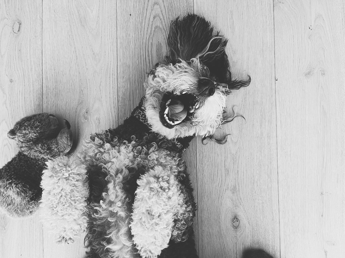 Conquering Sunday like …