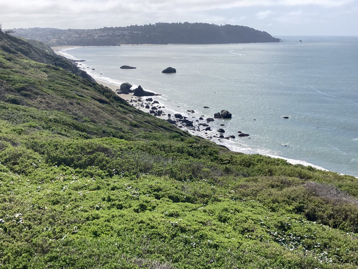 ginwitstein's tweet image. 