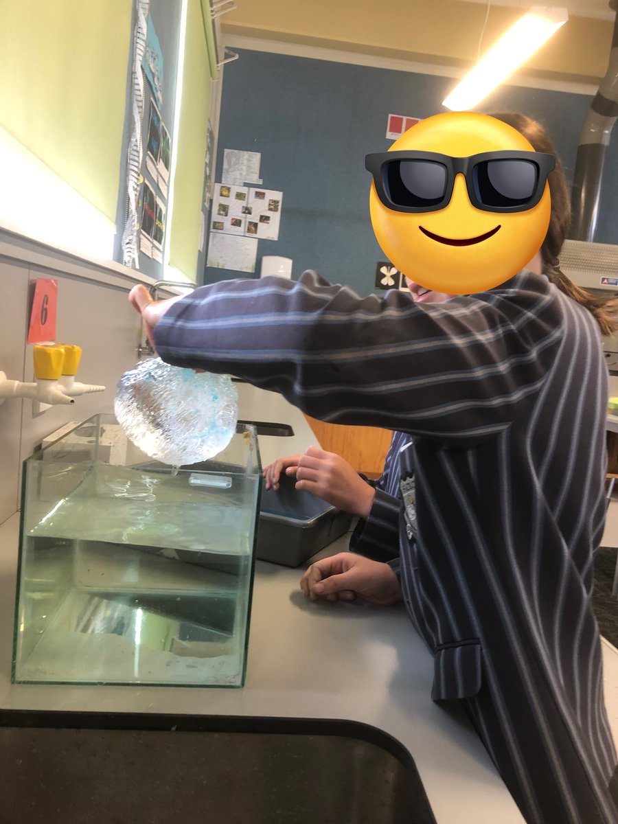 ChristensonDi's tweet photo. Exploring ice with year 5&amp;6 students.  What great questions they came up with and then explored to gather evidence to answer their questions. @teacherdeaks @cbrieseman @BrigitteScience https://t.co/ajSRalftYW