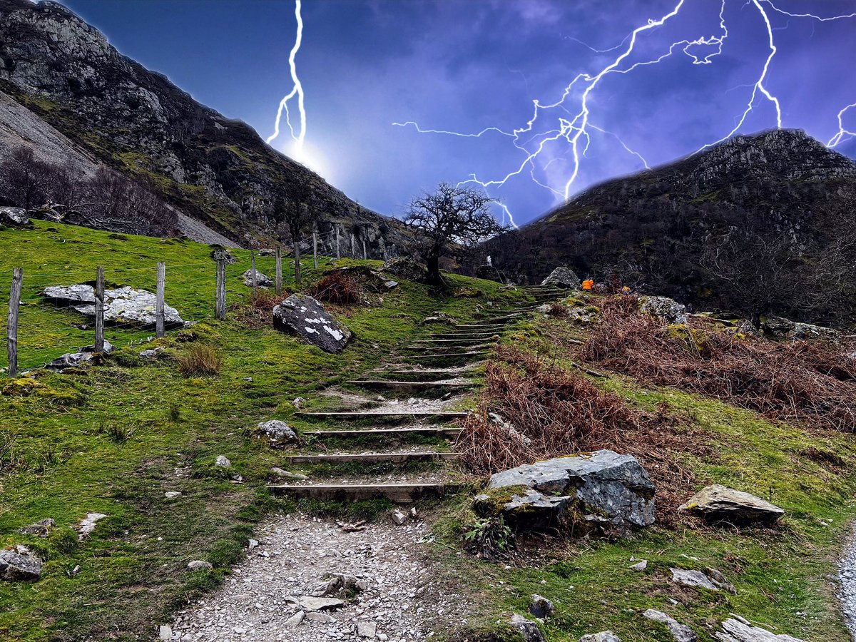 MindGuruHQ's tweet photo. Studies suggest that accessible natural areas may be vital for mental health in our rapidly urbanizing world. For instance walking in a natural area, as opposed to those who walked in a high-traffic urban setting, showed decreased activity in a region of the brain associated with a key factor in depression @MetroHealthINT