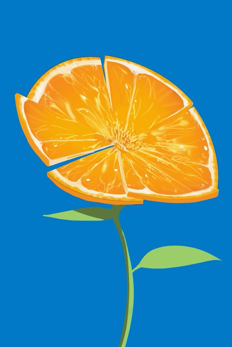 「orange theme still life」 illustration images(Latest)