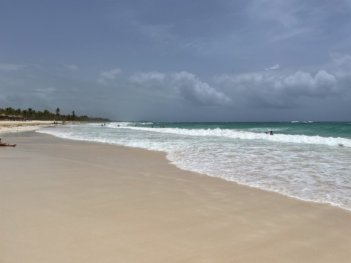 Sandy Chambers tweet media