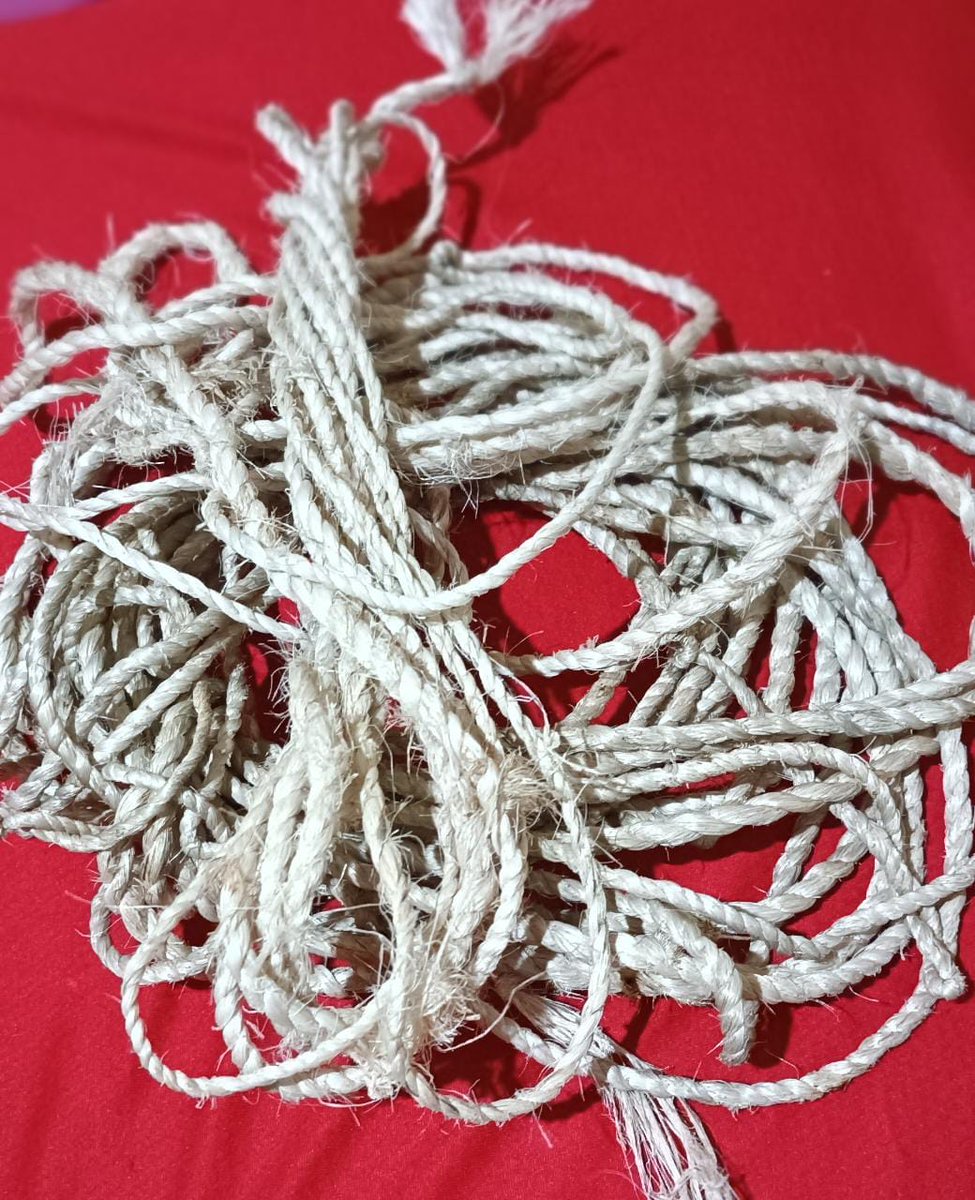 MFiber96561's tweet photo. Banana Fiber Rope

#ecofriendly #bananafiber #musaecofiber #greenhouse #fiberextraction #abacafiber #hairextensions #naturalhair #crafts #craftproducts https://t.co/dcExdYUltR