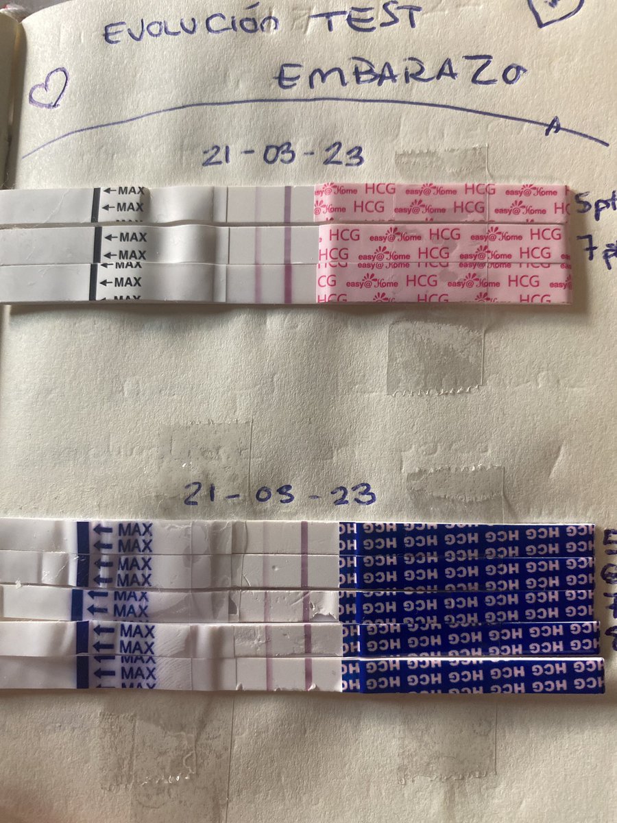 Mitotina2's tweet photo. #infetilpandy tengo test positivos desde 5dpt que iban subiendo y hoy a 10dpt he manchado muy muy poco marrón… me quedan dos dias para la beta.. y miro los test y creo que no iban bien verdad? https://t.co/Plk1BxxqYS