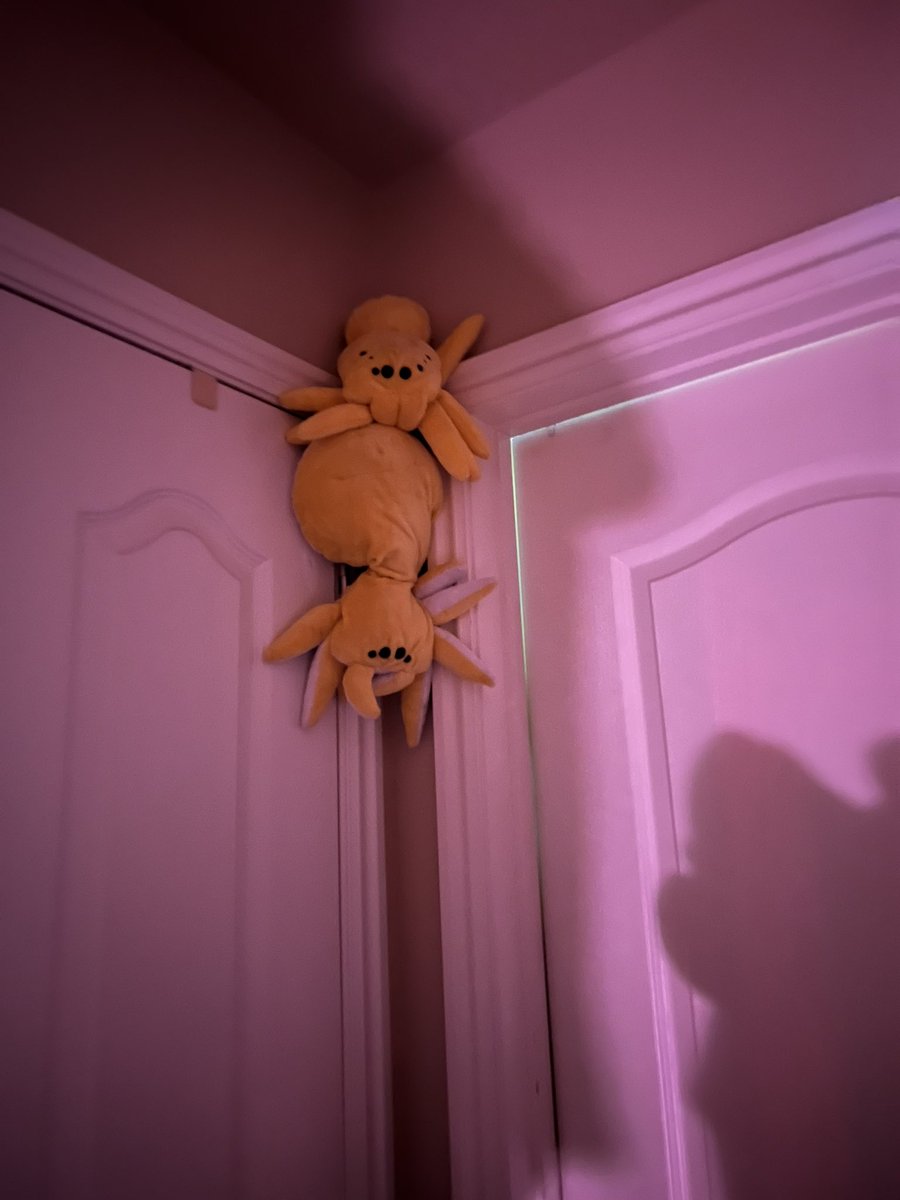MrsPancakebear's tweet photo. Need a couple a guardian spiders for your door? They ward off bad juju and bring a calming lemon essence 🤪 

#plushies #spiders #spiderplush #handmadeplush #sewingprojects #line’emup https://t.co/0I097UosuI