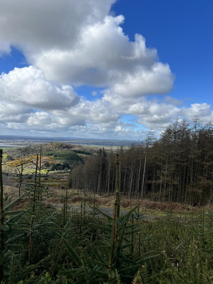 GapotheNorth's tweet photo. What has the humble potato got to do with our next walk on Sunday, 2nd of April?? https://t.co/pQ98KmD92m