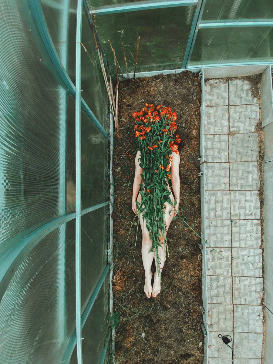 <a href="/LucinaGallery/">LucinaGallery</a>