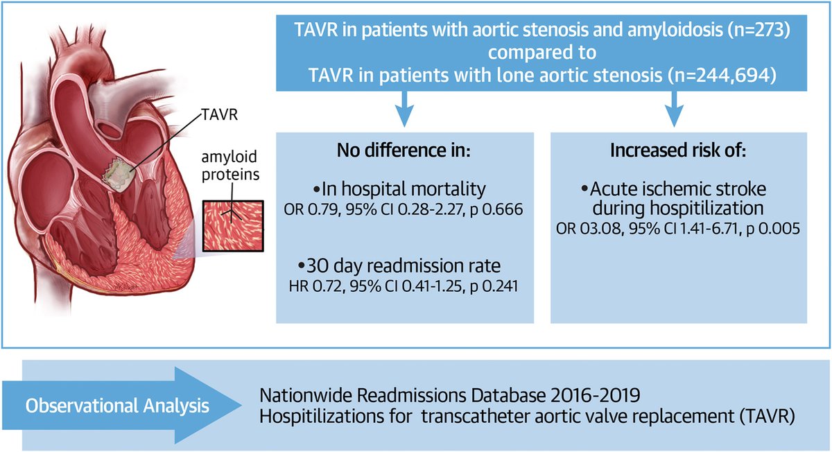 American College of Cardiology (@accintouch) on Twitter photo Q: What is the effect of amyloidosis on outcomes of #TAVR?
A: There was no difference in in-hospital mortality or 30-day readmission rate after TAVR in patients w/ severe aortic stenosis & amyloidosis, compared to patients w/ lone AS.
More: bit.ly/3lwPiVJ #JACCAdvances Q: What is the effect of amyloidosis on outcomes of #TAVR?
A: There was no difference in in-hospital mortality or 30-day readmission rate after TAVR in patients w/ severe aortic stenosis & amyloidosis, compared to patients w/ lone AS.
More: bit.ly/3lwPiVJ #JACCAdvances