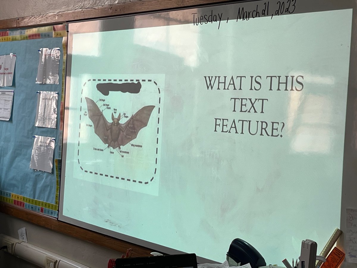 It’s been awhile, the Courageous Learners of 2nd Grade have been working hard. We are learning about text features, scientific drawing, and the importance of informational text. #learningneverstops @TDpscd <a href="/and_now_adaeh/">Stephanie Gaines</a> <a href="/Detroitk12/">DPSCommunityDistrict</a>