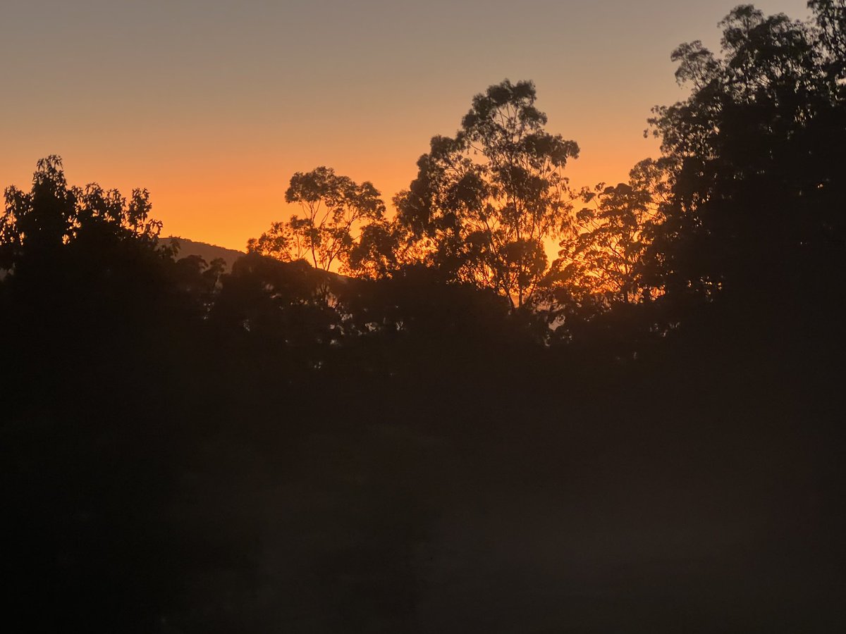 russellcrowe's tweet image. good morning to you