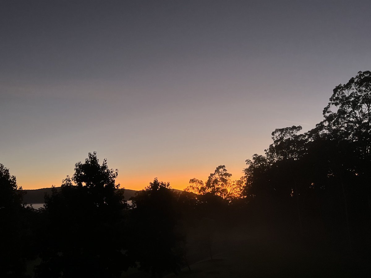 russellcrowe's tweet image. good morning to you