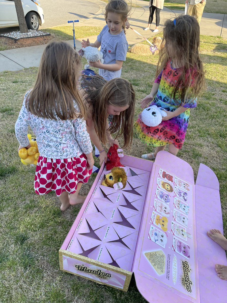 MySampleLife's tweet photo. Party was a hit, girls were over the moon happy with their new P.Lushes and now they want more lol @Tryazon @SpinMaster #spinmaster #plushespets #thatplushlife #tryazon https://t.co/5TGNRYWqR2