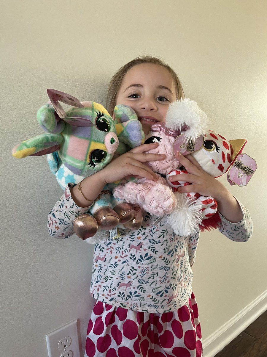 MySampleLife's tweet photo. Party was a hit, girls were over the moon happy with their new P.Lushes and now they want more lol @Tryazon @SpinMaster #spinmaster #plushespets #thatplushlife #tryazon https://t.co/5TGNRYWqR2