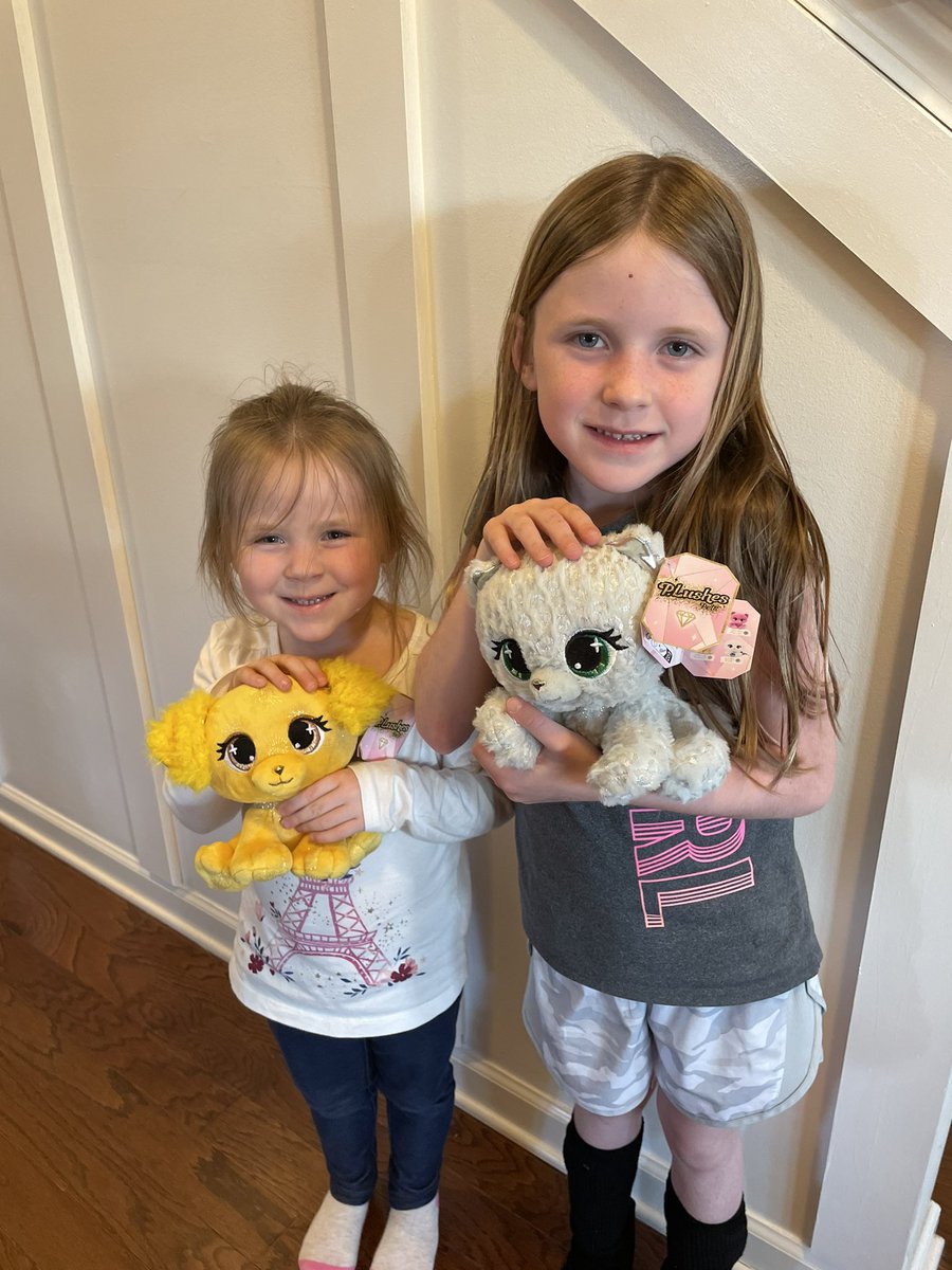 MySampleLife's tweet photo. Party was a hit, girls were over the moon happy with their new P.Lushes and now they want more lol @Tryazon @SpinMaster #spinmaster #plushespets #thatplushlife #tryazon https://t.co/5TGNRYWqR2