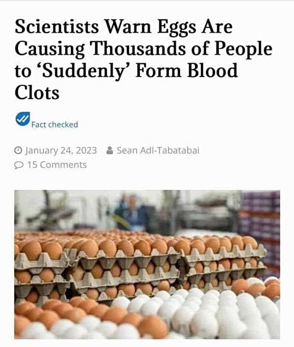 Awakene_s0ul's tweet photo. Now blame the eggs 🤡 https://t.co/6x8YtVIOyg
