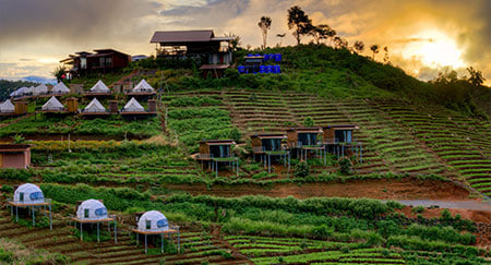 Anna Niha (@niha_anna) on Twitter photo 