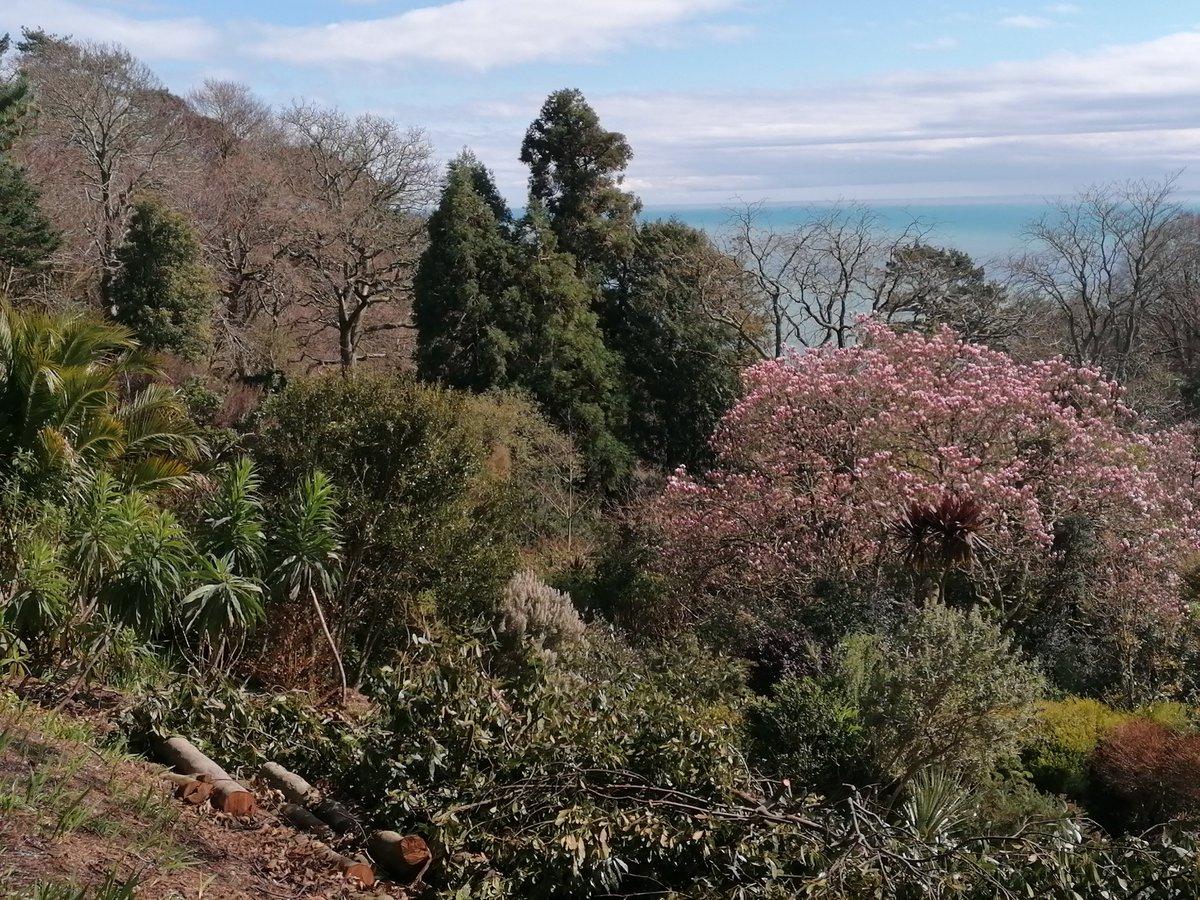 Exotic Earth Plants tweet media