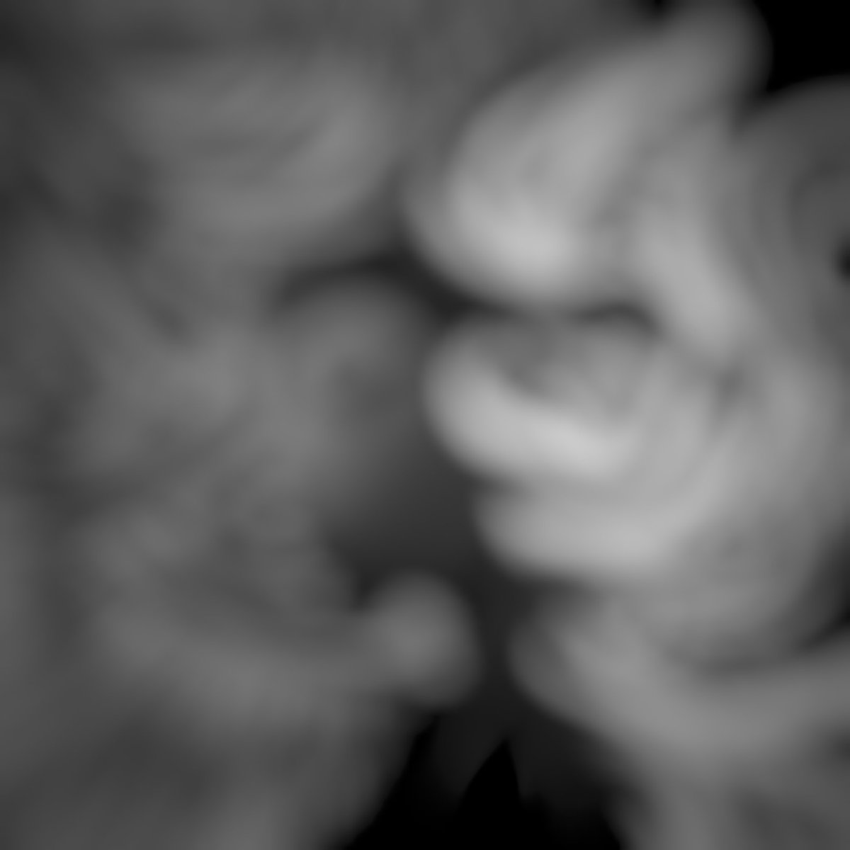 GM/GA 🤙

Tonight's the night folks!!! Can anyone guess who this special Collab is with? Tag them below!! 👇