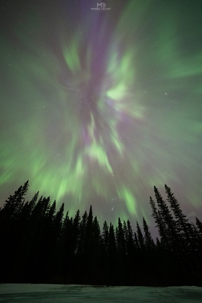 MonikaDeviat's tweet photo. A few shots from Thursday's Northern Lights show that I finally got to editing after teaching my Milky Way March workshop this weekend. 
#northernlights #auroraborealis #banff https://t.co/D0LP9vOzR0