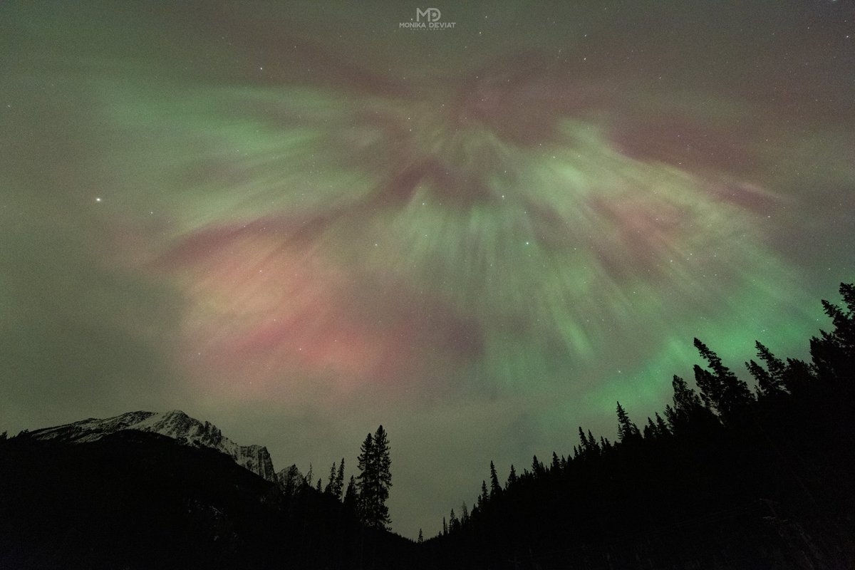 MonikaDeviat's tweet photo. A few shots from Thursday's Northern Lights show that I finally got to editing after teaching my Milky Way March workshop this weekend. 
#northernlights #auroraborealis #banff https://t.co/D0LP9vOzR0