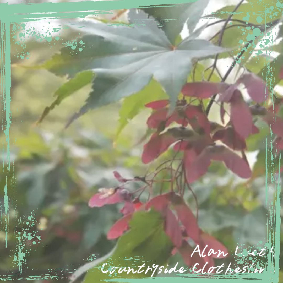 borderlinefckup's tweet photo. No meaningful or cool words for this. Check out Alan Lueth. Check out his debut album "Countryside Clothesline". It's more than worth it!
π WRITE-UP @ https://t.co/8l4kpqC09e
#alanlueth #flowerpotrecords #folk #country #singersongwriter #acoustic #lofirock #bedroompop https://t.co/Cono9FDCU4