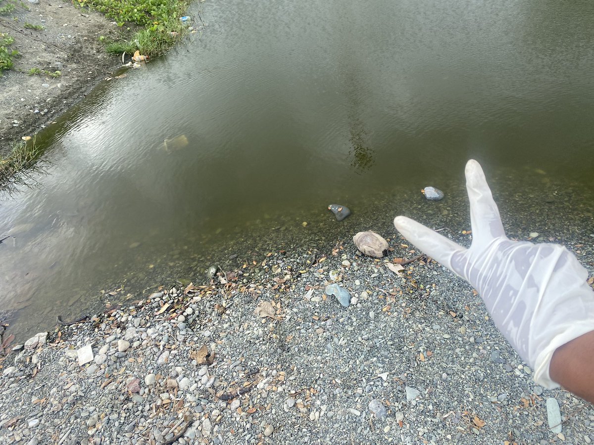 guardians_ja's tweet photo. Not all heroes wear capes some wear gloves and carry a garbage bag.
99 look pon the area when we done nuh mon! https://t.co/cBZoNXL6Z4