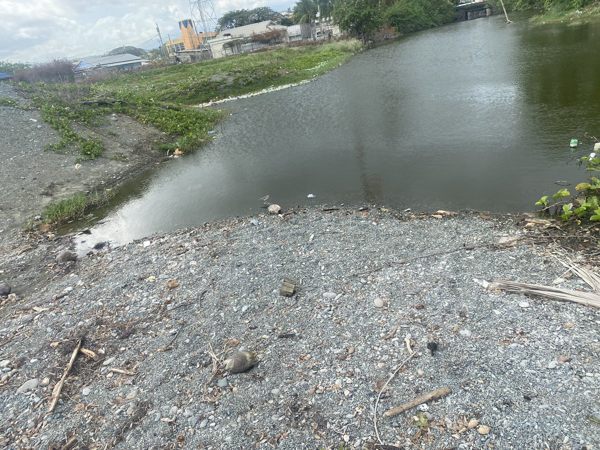 guardians_ja's tweet photo. This can't be done alone. Resources and manpower is needed.
Look out for our next cleanup date in September and be there.
Until next time guardians. https://t.co/F4rMkA1w8a