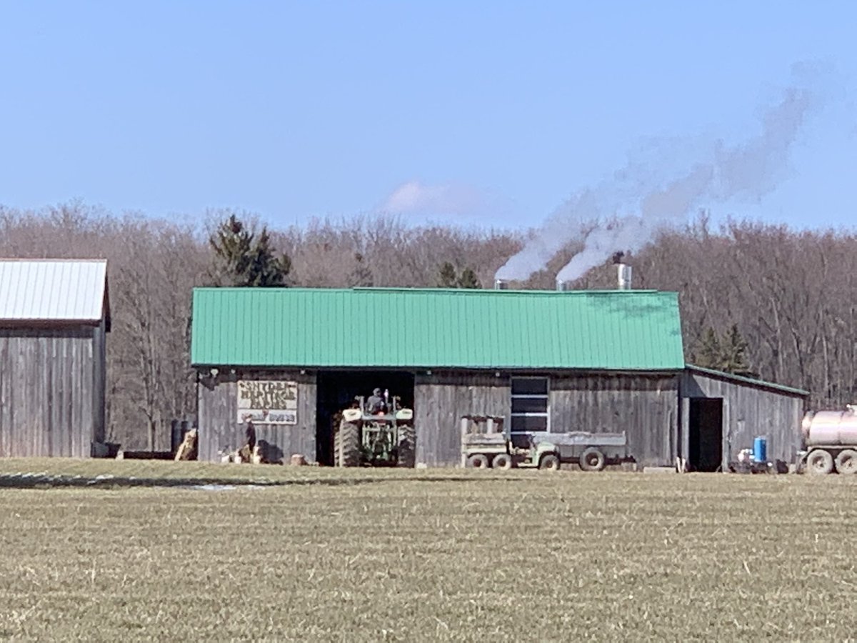 Another busy day! Loader is setting a pallet of firewood in. A bushcord will make 650-700L of maple syrup!