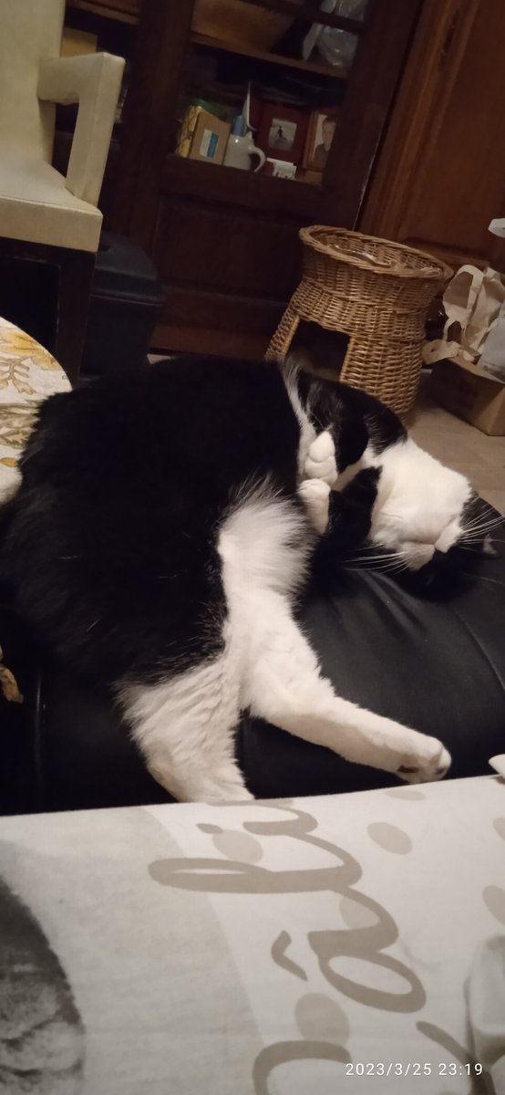 fredomnie's tweet photo. @Thais_saucisse Bravo Thais tu mérites ton image câlin de poupée piper https://t.co/5b6oUbCZeR