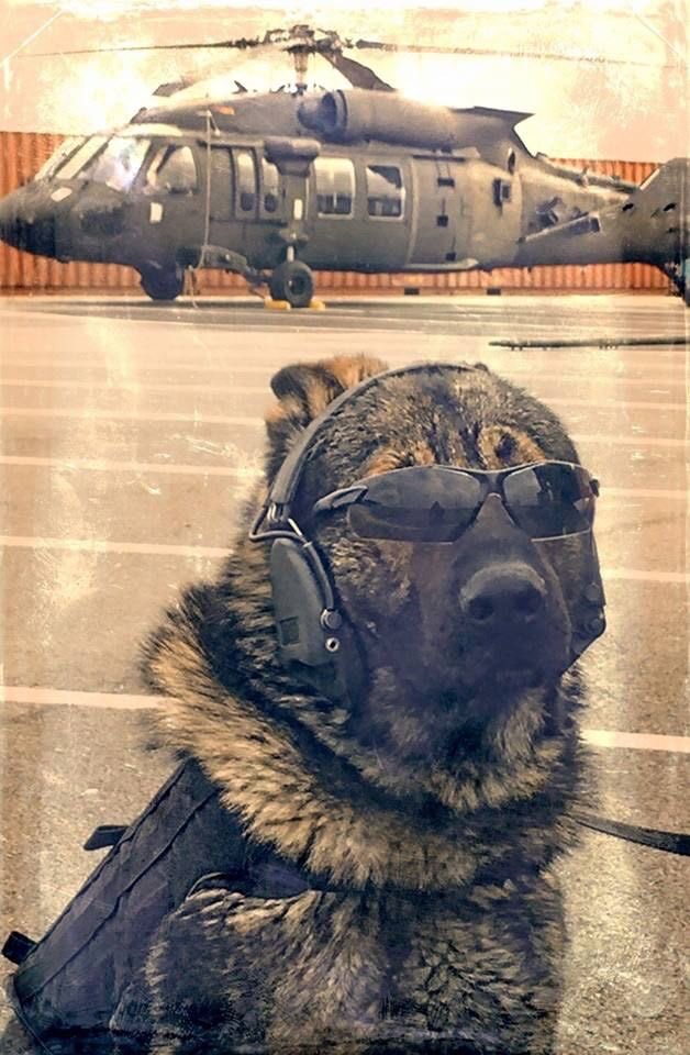 AZKaytee's tweet photo. More badass Americans right here: 
@AnnAmericaFirst
@Suzost01 
@susangpatriot
@skb_sara
@poconomtngirl
@yolojo https://t.co/bMJFB3xJSt