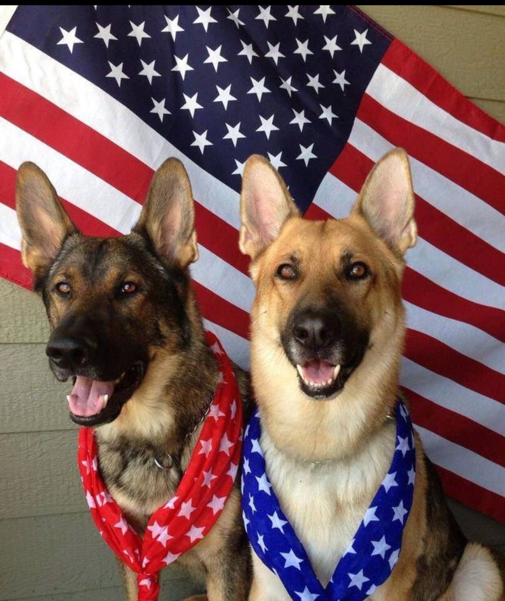 AZKaytee's tweet photo. In the meantime, while waiting for me, some stellar Patriots u can follow!
@HarperLee6557 @FarmGirlCarrie
@VeBo1991
@Bellisima_3
@JVER2ME
@zeke_gary2
@stacy_jetson
@45lvnancy
@dpl_3
@polishprincessh
@stacy_redvirgo
@notmyfault99
All are Patriots, smart, funny, &amp; fearless.
More⬇️ https://t.co/VwLY4Kd5Ae