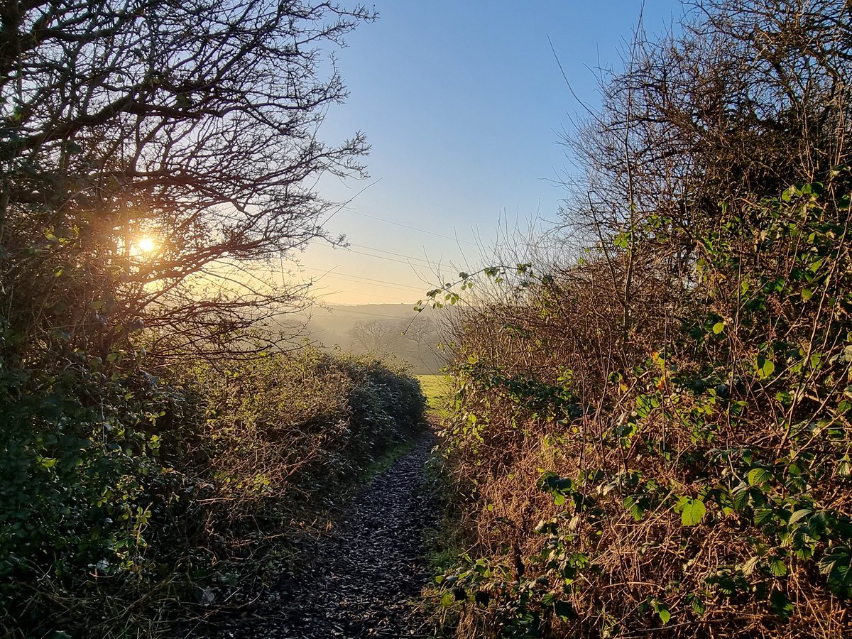 JMAGarrett's tweet image. In the home of #WildIsles in Bristol, @HomesEngland plan to build houses on these historic meadows.

In this place I watch over-wintering kestrels, listen to spring birdsong, soak up summer evenings and pick autumn blackberries.

We cannot destroy this. 

#SaveBrislingtonMeadows