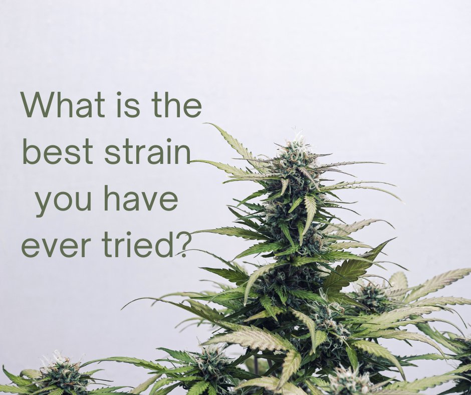 Cannabis Training University tweet media