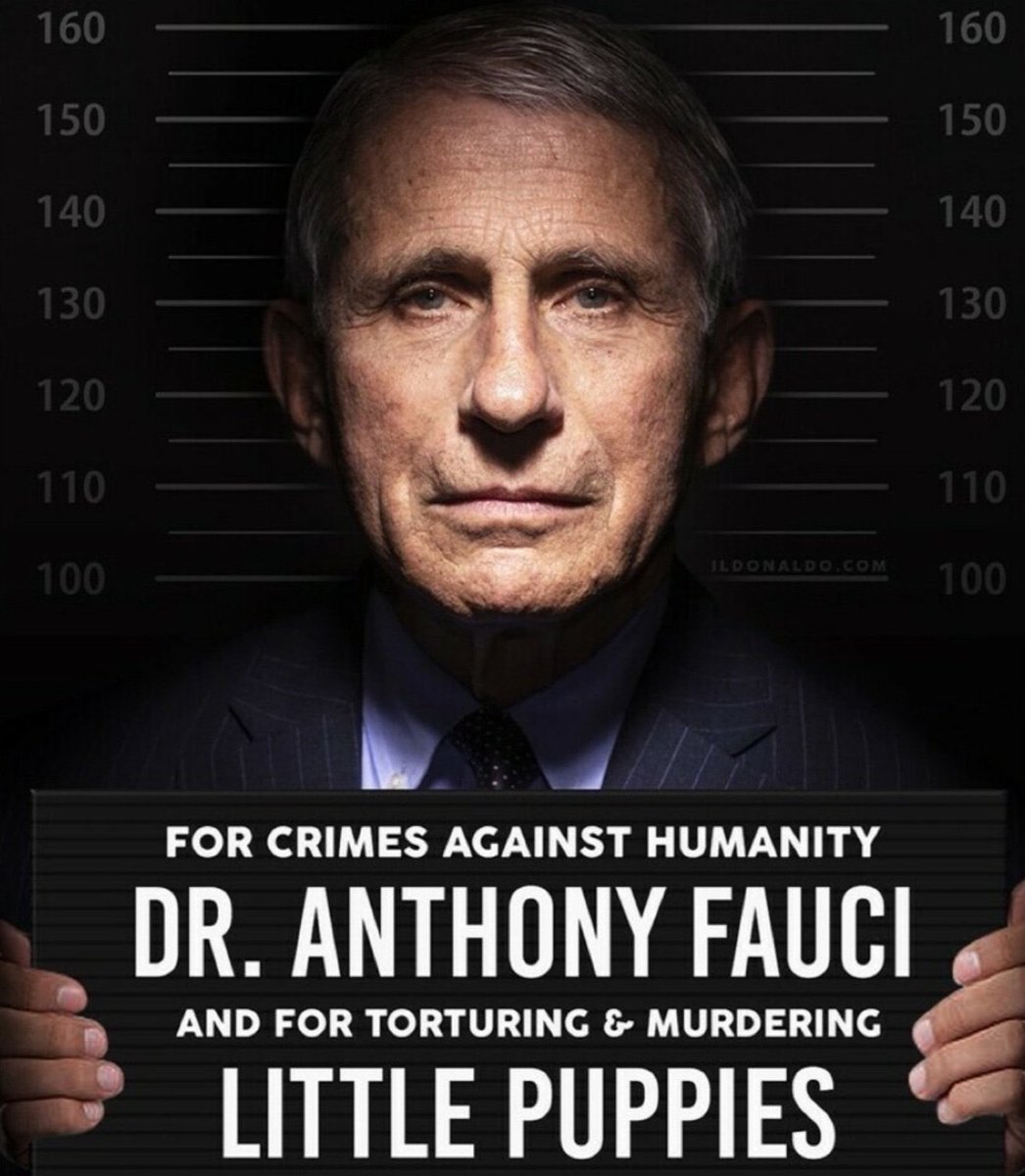 Chicago1Ray's tweet photo. He lied to congress, forced masks on our kids, pushed for lockdowns, then denied Ivermectin was effective, and used tax dollars to experiment on Beagles 

(RT) if your pronouns are Prosecute Fauci https://t.co/L8Ov90iiq4