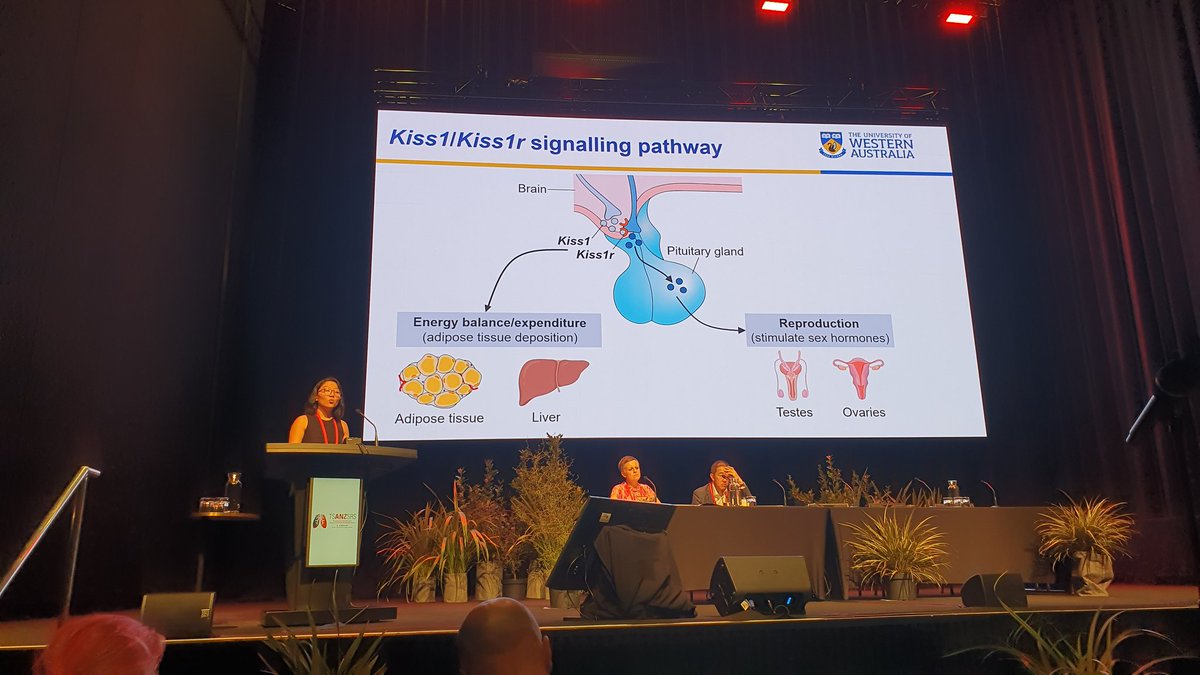 ReanneHo's tweet photo. Who knew adipose tissue in the airways could affect asthma?  @CarolynJWang did amazing telling the audience all about it. Well done 👏🏻  #TSANZSRS2023 https://t.co/IsWOewGHIo