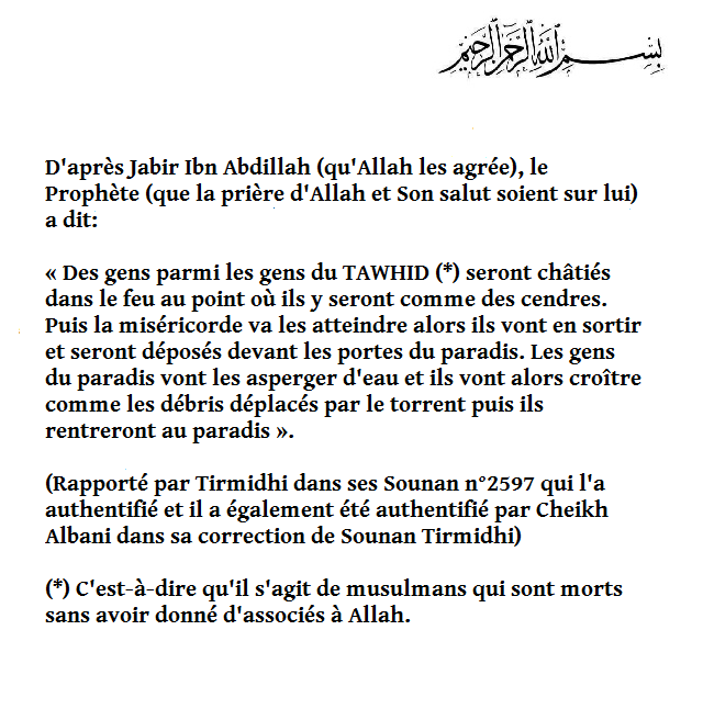 AlHamdulillahFR's tweet photo. Les gens du TAWHID même s'ils passent par l'enfer à cause de leurs péchés, finirons par en sortir car ils n'ont pas d'associés à Allah.

Aidez à propager le TAWHID durant ce mois béni ⬇️ 
https://t.co/lUR2asIMx8 https://t.co/4me3j4r9eo