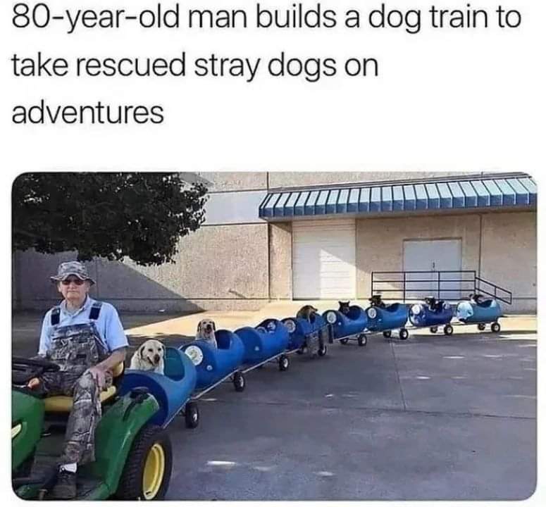 thehappydog_'s tweet photo. Adorable... the things people do for their dogs ❤️ https://t.co/sqgvqhRZko