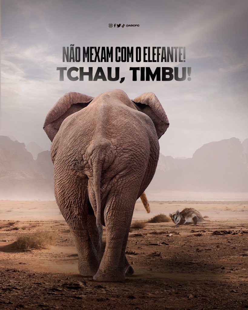 ABCFC's tweet photo. RESPEITA QUEM TEM HISTÓRIA! 😎

E aí, filhinho? O Elefante da Frasqueira é …  Pega e segura essa! 🐘🐘🐘
Classificadoooo!
Se liga na visão para quem não respeita o Maior Campeão do Mundo! 
Tchau! 
#abcfc #copadonordeste #respeita https://t.co/rqa3wKHP3n