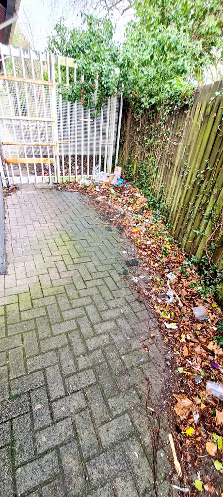 coliseumcinema's tweet photo. #AntiSocialBehaviour gathering area with litter+around the back by @festrail

Time to clean up+stop it please

Not a good look+it leads to further problems 

#Wilko #Porthmadog @LoveWilko @NiaJeffreys @NWPGwyneddSouth @NWPGwyneddNorth @Keep_Wales_Tidy @CyngorGwynedd
Diolch pawb https://t.co/impI64G5wB